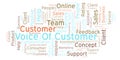 Voice Of Customer word cloud.