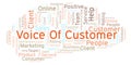 Voice Of Customer word cloud.