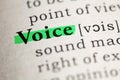 Definition of the word Voice