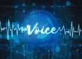 Voice recognition technology