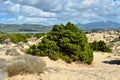 Voidokilia, Messenia landscape, Greece Royalty Free Stock Photo