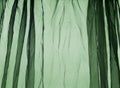 Voile curtain dark green