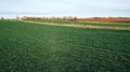 Vojvodina countryside landscape, small farm house with fruit orchard in bloom and wheat crop field