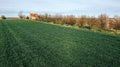 Vojvodina countryside landscape, small farm house with fruit orchard in bloom and wheat crop field