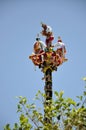 Voladores de Papantla Royalty Free Stock Photo