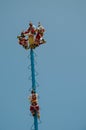 Voladores