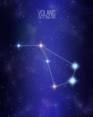 Volans the flying fish constellation map on a starry space background. Stars relative sizes and color shades based on their Royalty Free Stock Photo