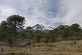 Volcan Llaima in Conguillo nacional park, Chile