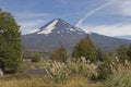 Volcan Llaima in Conguillo nacional park, Chile Royalty Free Stock Photo