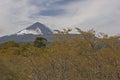 Volcan Llaima in Conguillo nacional park, Chile Royalty Free Stock Photo