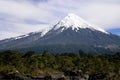 Volcan Osorno in Chile Royalty Free Stock Photo