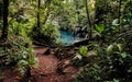 Volcan tenorio national park. Jungle and river. La fortuna, Costa Rica.