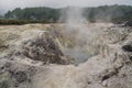 Volcanic area near Rotorua, NZ