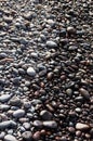 Volcanic beach stones wet by the tide Royalty Free Stock Photo