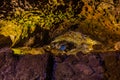 Volcanic caves in Sao Vicente - Madeira Portugal