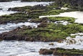 Volcanic coast at low tide, Floreana Island