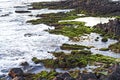 Volcanic coast at low tide, Floreana  Island Royalty Free Stock Photo