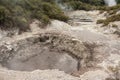 Volcanic craters in Waiotapu