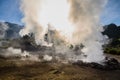 Volcanic eruption of hot steam in Furnas, Sao Miguel island, Azores archipelago Royalty Free Stock Photo