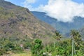 Volcanic hills and tropical flora of Bali