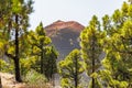 Volcanic landscape along Ruta de los Volcanes, beautiful hiking path over the volcanoes, La Palma, Canary Islands