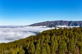 Volcanic landscape along Ruta de los Volcanes, Cumbre Vieja, Island La Palma, Canary Islands, Spain, Europe