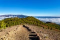 Volcanic landscape along Ruta de los Volcanes, Cumbre Vieja, Island La Palma, Canary Islands, Spain, Europe