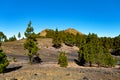 Volcanic landscape along Ruta de los Volcanes, Island La Palma, Canary Islands, Spain, Europe