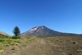 Volcanic landscape in Chile Royalty Free Stock Photo