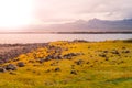 Volcanic landscape with green plains and rocky coast in Snaefellsnes peninsula, Iceland Royalty Free Stock Photo