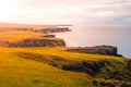 Volcanic landscape with green plains and rocky coast in Snaefellsnes peninsula, Iceland Royalty Free Stock Photo