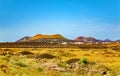 Volcanic landscape, Island Lanzarote, Canary Islands, Spain, Europe Royalty Free Stock Photo