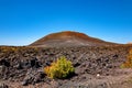 Volcanic landscape, Island Lanzarote, Canary Islands, Spain, Europe Royalty Free Stock Photo