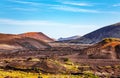 Volcanic landscape, Island Lanzarote, Canary Islands, Spain, Europe Royalty Free Stock Photo