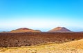 Volcanic landscape, Island Lanzarote, Canary Islands, Spain, Europe Royalty Free Stock Photo