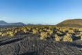 Volcanic landscape in Lanzarote, Timanfaya national park Royalty Free Stock Photo