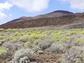 Volcanic landscape near Orchilla lighthouse, El Hierro island. Spain