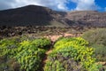 Volcanic landscape, Orzola, Lanzarote