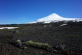 Volcanic landscape, Rare vegetation on dark pyroclastic material on mountainside of snow capped Villarrica volcano