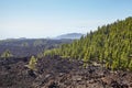 Volcanic landscape of Teide National Park, Tenerife Royalty Free Stock Photo