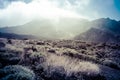 Volcanic landscape, Teide, Tenerife Royalty Free Stock Photo