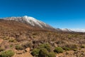 Volcanic landscape, Teide, Tenerife Royalty Free Stock Photo