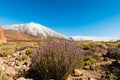 Volcanic landscape, Teide, Tenerife Royalty Free Stock Photo