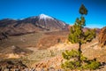 Volcanic landscape, Teide, Tenerife Royalty Free Stock Photo