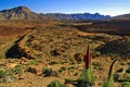 Volcanic landscape of the Teide Volcano National Park Royalty Free Stock Photo