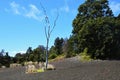 Volcanic Landscape in Volcanoes National Park on Big Island, Hawaii Royalty Free Stock Photo