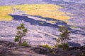 Volcanic Landscape in Volcanoes National Park, Big Island, Hawaii Royalty Free Stock Photo