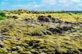 Volcanic lava field covered with green moss in the rural of Iceland Royalty Free Stock Photo