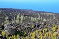 Volcanic Lava Landscape in Volcanoes National Park, Big Island, Hawaii Royalty Free Stock Photo