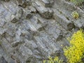 Volcanic lava rocks pentagram columns. Bulgaria Royalty Free Stock Photo